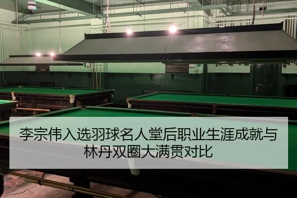 li-zong-wei-ru-xuan-yu-qiu-ming-ren-tang-hou-zhi-ye-sheng-ya-cheng-jiu-yu-lin-dan-shuang-quan-da-man-guan-dui-bi-3-457.jpg