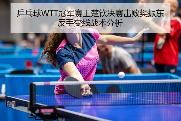 ping-pang-qiu-guan-jun-sai-wang-chu-qin-jue-sai-ji-bai-fan-zhen-dong-fan-shou-bian-xian-zhan-shu-fen-xi-3-752.jpg